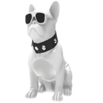 Aiwa Bluetooth Speaker ASR-010W with sunglasses