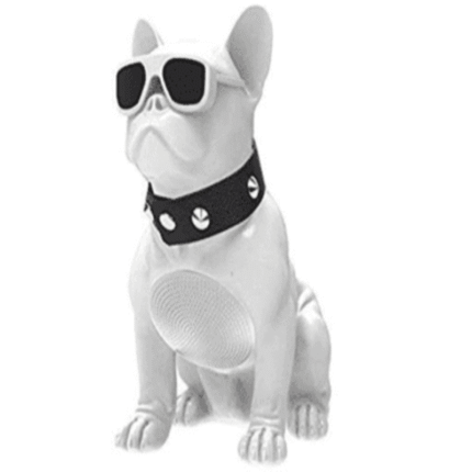 Aiwa Bluetooth Speaker ASR-010W with sunglasses