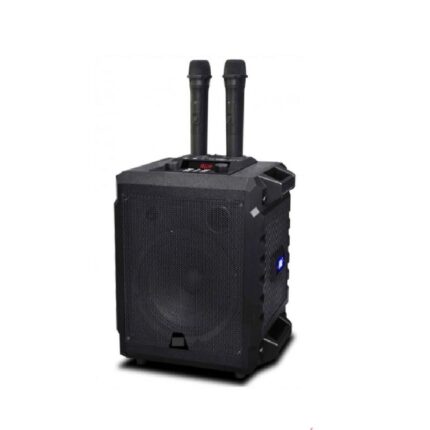 Aiwa Karaoke Speaker with LED Display and Microphones