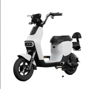 Conti Utility Scooter – CUS-500WS/BS, 500W Motor, 65KM Range
