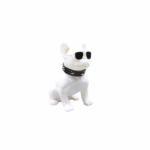 Aiwa Bluetooth Speaker ASR-010W with sunglasses