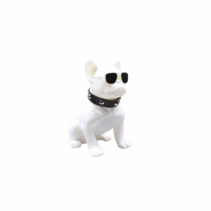 Aiwa Bluetooth Speaker ASR-010W with sunglasses