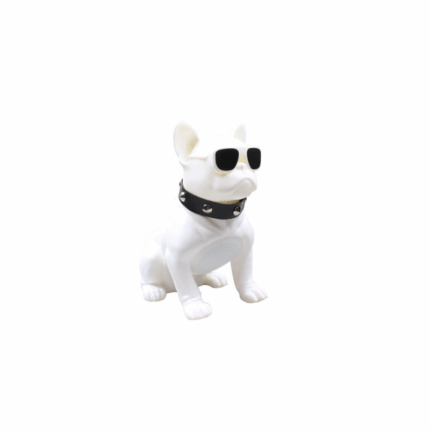 Aiwa Bluetooth Speaker ASR-010W with sunglasses