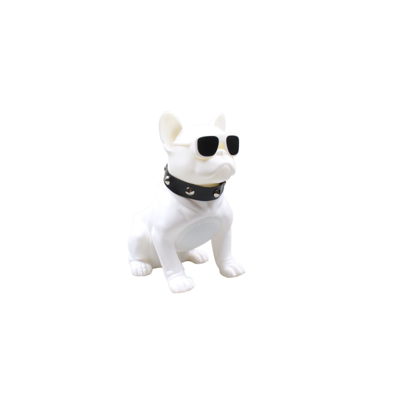 Aiwa Bluetooth Speaker ASR-010W with sunglasses