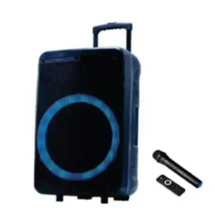 JVC XS-N4110PB 12-Inch Trolley Speaker with Wireless Mic and Light Show