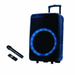 JVC XS-N4110PB 12-Inch Trolley Speaker with Wireless Mic and Light Show