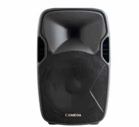Omega X- L10 professional loudspeaker with woofer and horn tweeter – front view