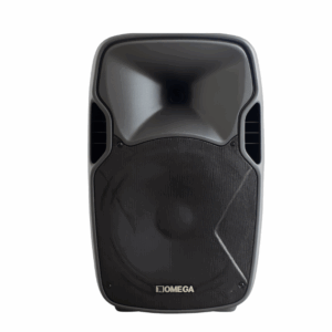 Omega X- L10 professional loudspeaker with woofer and horn tweeter – front view