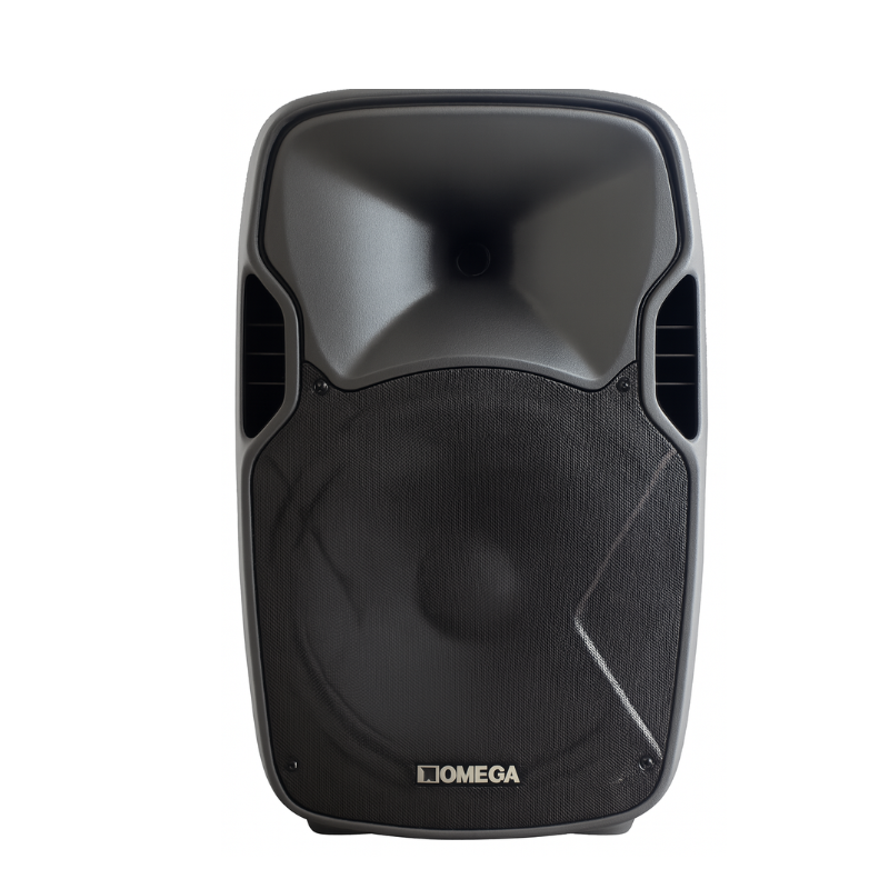 Omega X- L10 professional loudspeaker with woofer and horn tweeter – front view