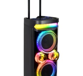 Omega Kolav-D2618 portable party speakers