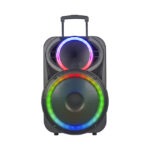 Omega Kolav Portable Bluetooth Karaoke Speaker System – Kolav-F1220