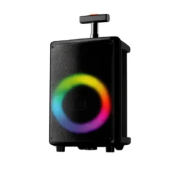 Telefunken 8 inch trolley speaker TTS-800