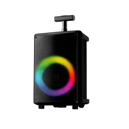 Telefunken 8 inch trolley speaker TTS-800