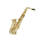 Rhythm Alto Saxophone Lacquer YWAS-01