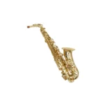 Rhythm  Alto Saxophone (E♭) – Gold Lacquer Finish, High Key, Case & Mouthpiece - Image 2