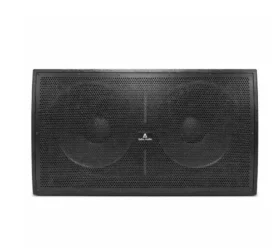 Astro Audio AA-Pro218B Dual 18" Bass Bin 1000W