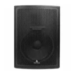 Astro Audio AA-PRO15 15" Passive Professional Speaker