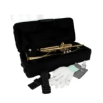 Rhythm YWTR-01 Bb Trumpet (Gold Lacquer Finish) – Smooth Cupronickel Valves, Case & Mouthpiece - Image 4