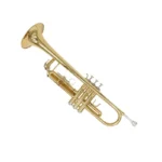 Rhythm YWTR-01 Bb Trumpet (Gold Lacquer Finish) – Smooth Cupronickel Valves, Case & Mouthpiece - Image 2
