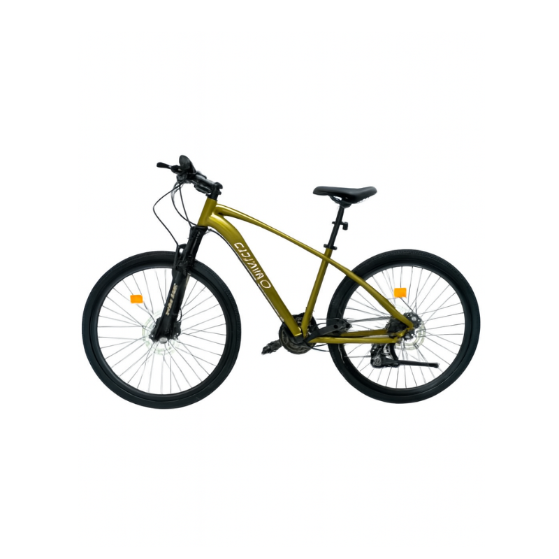 Conti 29-inch Mountain Bike