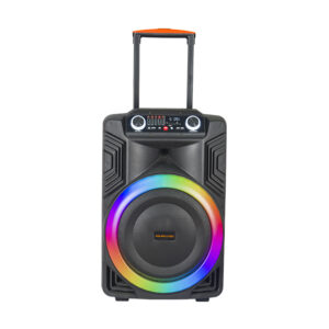 Omega Kolav J1531 Karaoke Speaker – 12V Battery, 80W, Bluetooth, RGB, Dual Mics